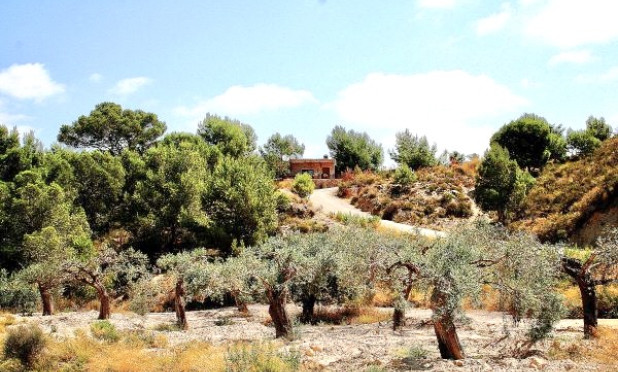 Resale - Villa - Murcia - Costa Blanca Sur