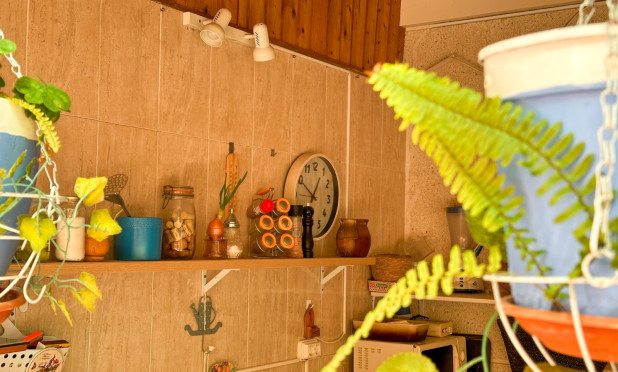 Revente - Appartement - Torrevieja - Centro