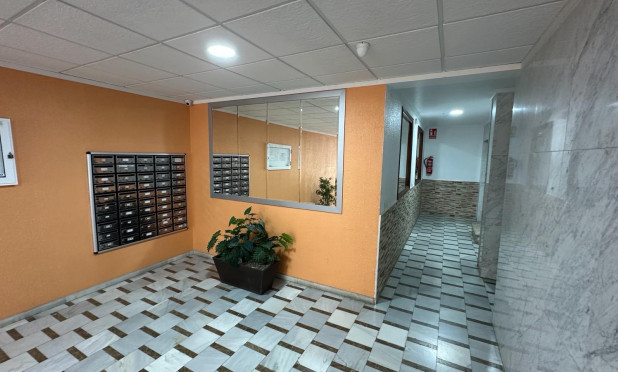 Wiederverkauf - Wohnung - Torrevieja - El Acequión - Los Náufragos