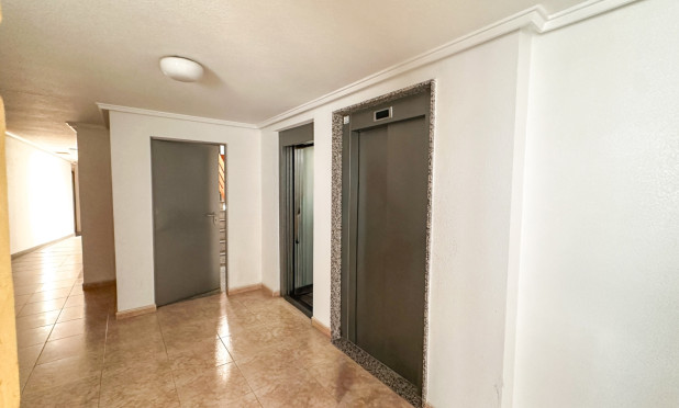 Herverkoop - Appartement / flat - Torrevieja - torrevieja