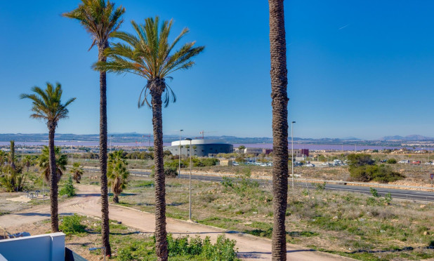 Obra nueva - Villa - Torrevieja - Parque Acuático - Sector 25