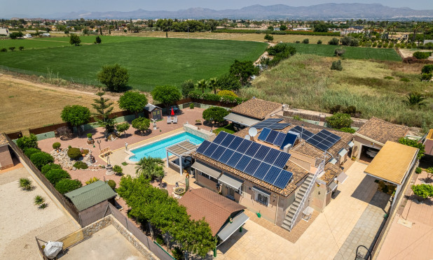 Revente - Finca / Propriété rurale - Catral