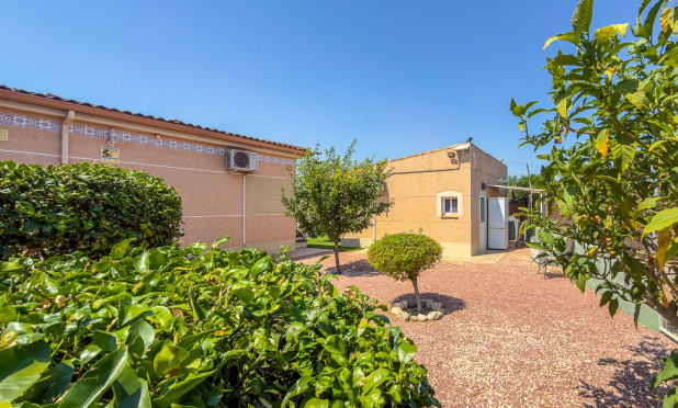 Revente - Finca / Propriété rurale - Catral