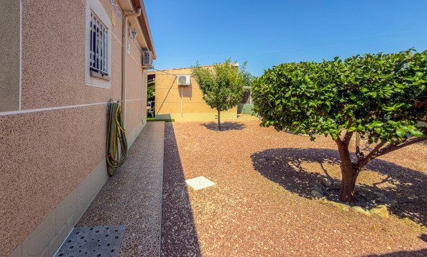 Revente - Finca / Propriété rurale - Catral