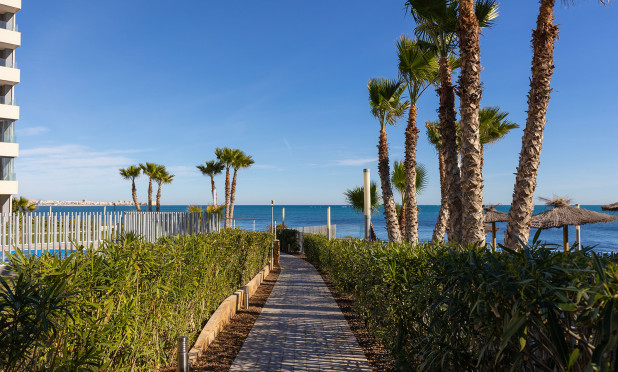 Wiederverkauf - Wohnung - Torrevieja - Punta Prima