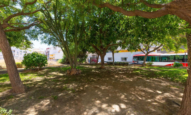 Reventa - Apartamento / piso - Torrevieja - La Mata