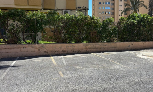 Resale - Apartment / flat - Benidorm - Levante