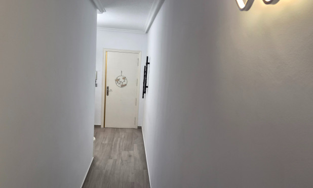 Herverkoop - Appartement / flat - Torrevieja - torrevieja
