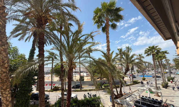 Herverkoop - Appartement / flat - Torrevieja - torrevieja