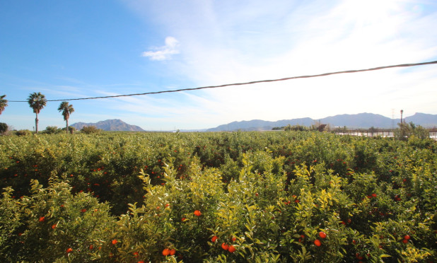 Herverkoop - Finca / Country House - Murcia - Costa Blanca Sur
