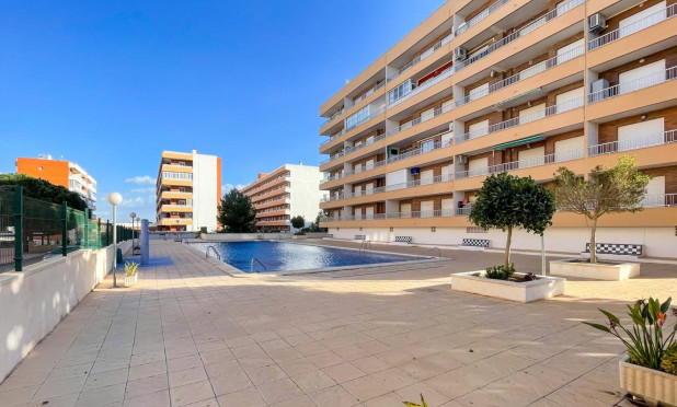 Odsprzedaż - Mieszkanie w bloku - Torrevieja - Punta Prima