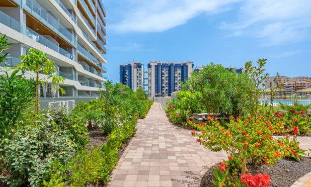 Wiederverkauf - Wohnung - Orihuela Costa - Punta Prima