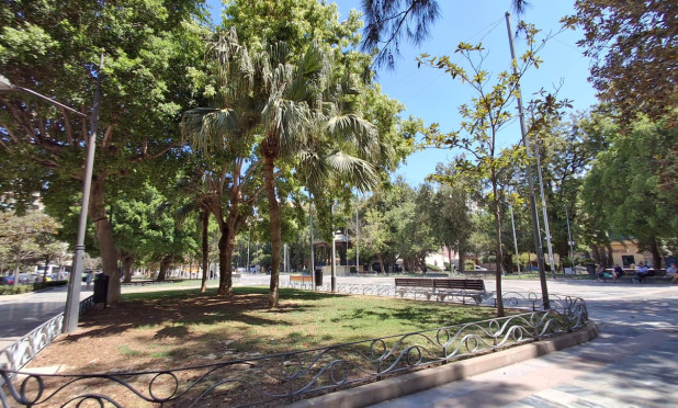 Wiederverkauf - Wohnung - Orihuela - Zona Centro