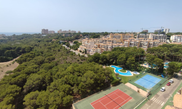 Wiederverkauf - Wohnung - Orihuela Costa - Campoamor