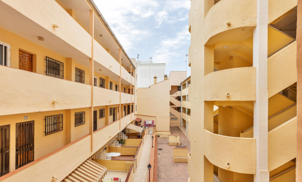 Resale - Apartment / flat - Guardamar del Segura - CENTRO