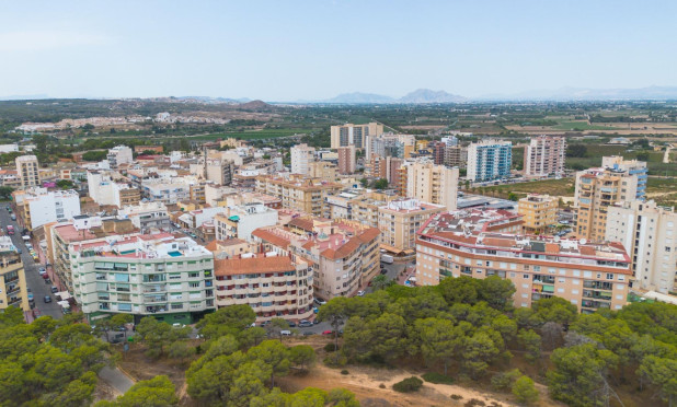 Resale - Apartment / flat - Guardamar del Segura - CENTRO