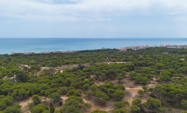 Resale - Apartment / flat - Guardamar del Segura - CENTRO