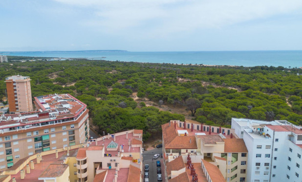 Resale - Apartment / flat - Guardamar del Segura - CENTRO