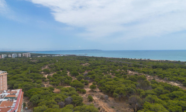 Resale - Apartment / flat - Guardamar del Segura - CENTRO