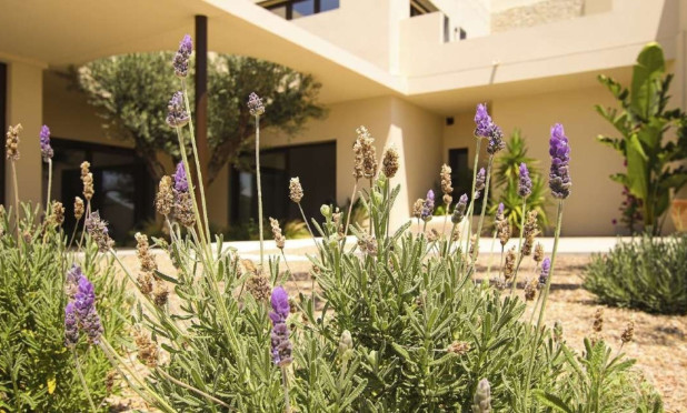 Obra nueva - Villa - La Marina