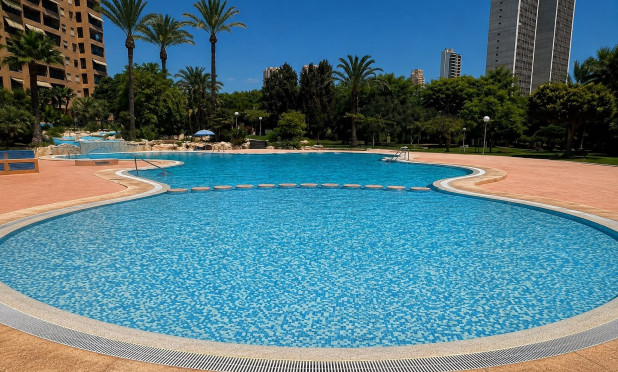 Wiederverkauf - Wohnung - Benidorm - Zona de Poniente