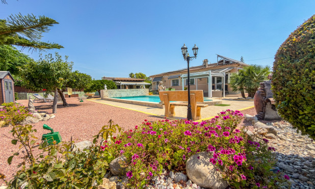 Revente - Finca / Propriété rurale - Catral
