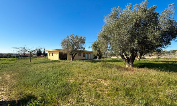 Wiederverkauf - Finca / Landgut - Guardamar del Segura - Guardamar