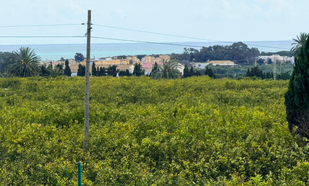 Wiederverkauf - Finca / Landgut - Guardamar del Segura - Guardamar