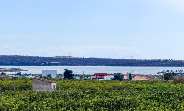 Wiederverkauf - Finca / Landgut - Guardamar del Segura - Guardamar