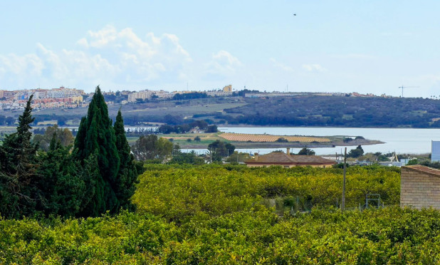 Wiederverkauf - Finca / Landgut - Guardamar del Segura - Guardamar