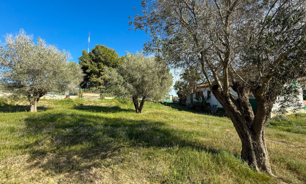 Wiederverkauf - Finca / Landgut - Guardamar del Segura - Guardamar