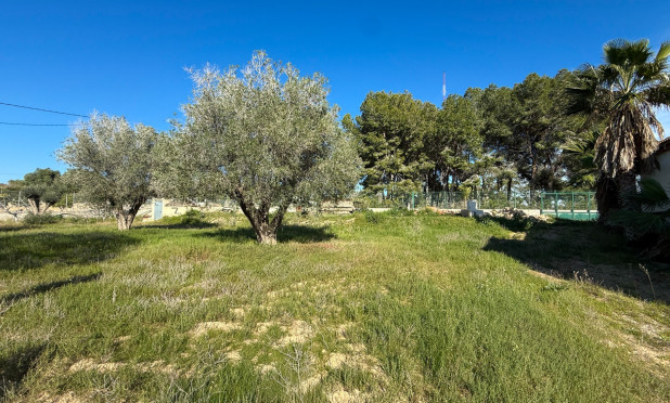 Wiederverkauf - Finca / Landgut - Guardamar del Segura - Guardamar