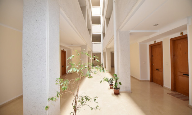 Wiederverkauf - Wohnung - La Mata