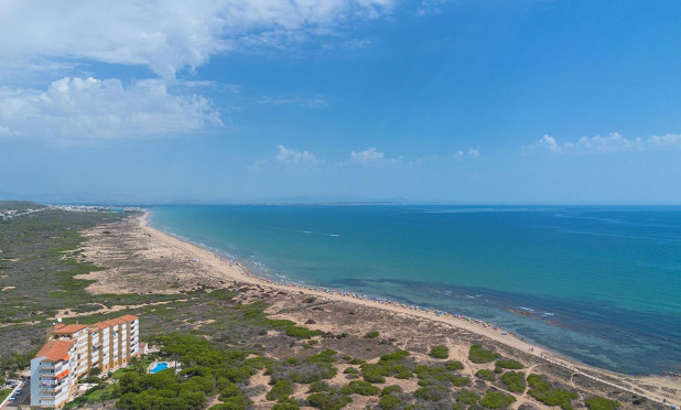 Wiederverkauf - Penthouse - Torrevieja - La Mata