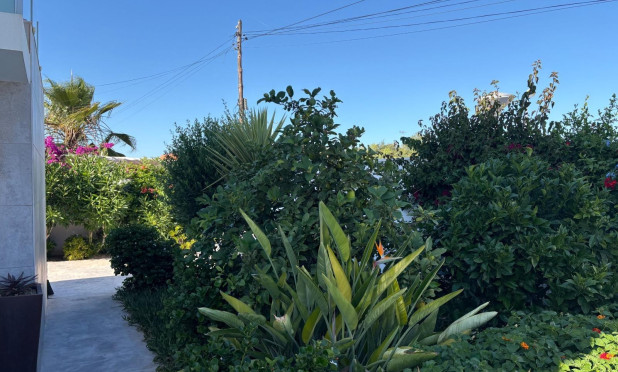 Wiederverkauf - Villa - Torrevieja - La Siesta - El Salado -  Torreta