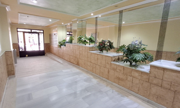Revente - Appartement - Torrevieja - torrevieja