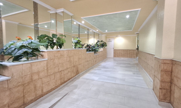 Revente - Appartement - Torrevieja - torrevieja