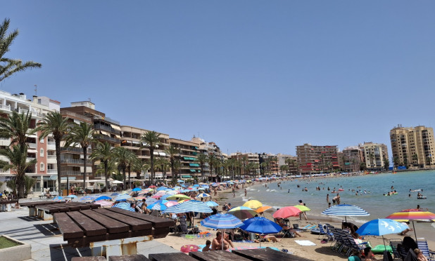 Revente - Appartement - Torrevieja - torrevieja