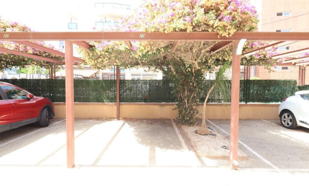 Herverkoop - Appartement / flat - Orihuela Costa - Aguamarina