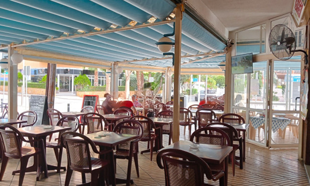 Resale - Commercial - Benidorm - Zona de Poniente