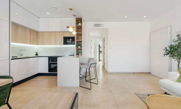 Nouvelle construction - Maison de ville - Torrevieja - torrevieja