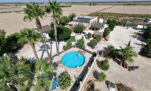 Odsprzedaż - Finca / Nieruchomość wiejska - La Marina - Elche / Elx