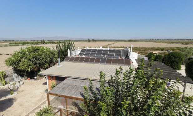 Odsprzedaż - Finca / Nieruchomość wiejska - La Marina - Elche / Elx