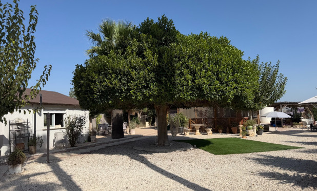 Odsprzedaż - Finca / Nieruchomość wiejska - La Marina - Elche / Elx