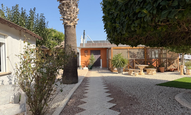 Odsprzedaż - Finca / Nieruchomość wiejska - La Marina - Elche / Elx