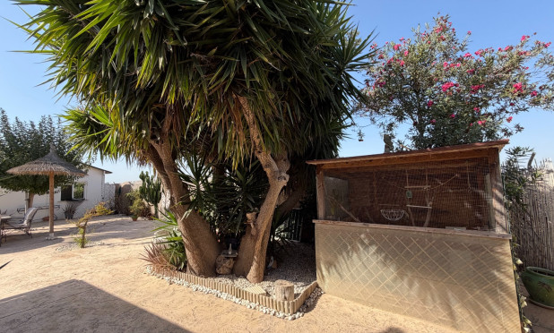 Odsprzedaż - Finca / Nieruchomość wiejska - La Marina - Elche / Elx