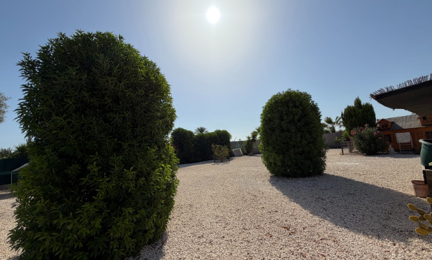 Odsprzedaż - Finca / Nieruchomość wiejska - La Marina - Elche / Elx