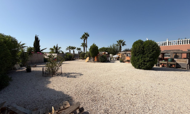Odsprzedaż - Finca / Nieruchomość wiejska - La Marina - Elche / Elx