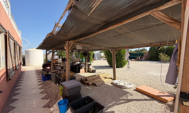 Odsprzedaż - Finca / Nieruchomość wiejska - La Marina - Elche / Elx