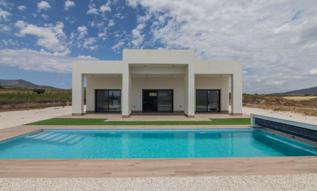 New Build - Villa - Pinoso - Campo